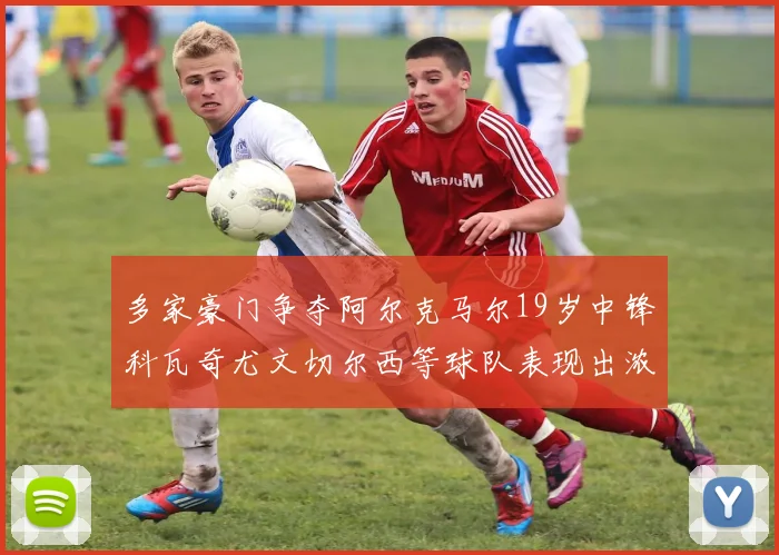多家豪门争夺阿尔克马尔19岁中锋科瓦奇尤文切尔西等球队表现出浓厚兴趣