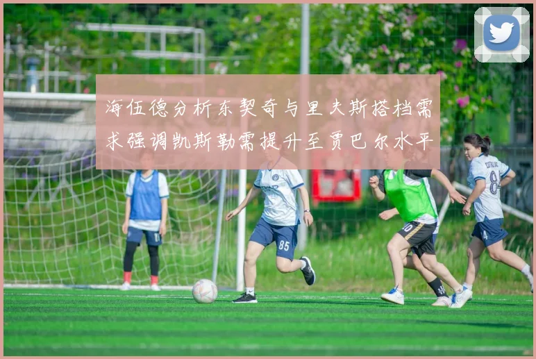 海伍德分析东契奇与里夫斯搭档需求强调凯斯勒需提升至贾巴尔水平